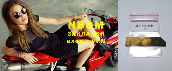шишки Новодвинск