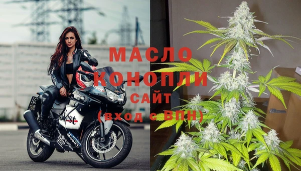 шишки Новодвинск