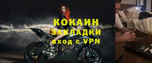 шишки Новодвинск