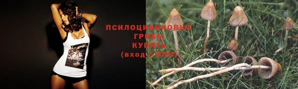 соль курить ск Новозыбков