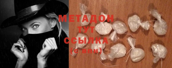 шишки Новодвинск