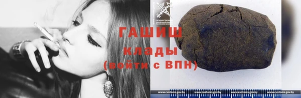шишки Новодвинск