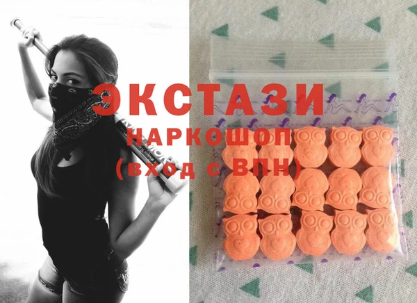 шишки Новодвинск