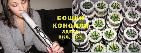 шишки Новодвинск