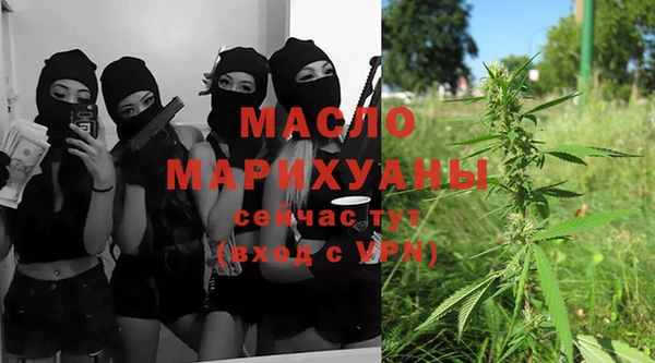 шишки Новодвинск