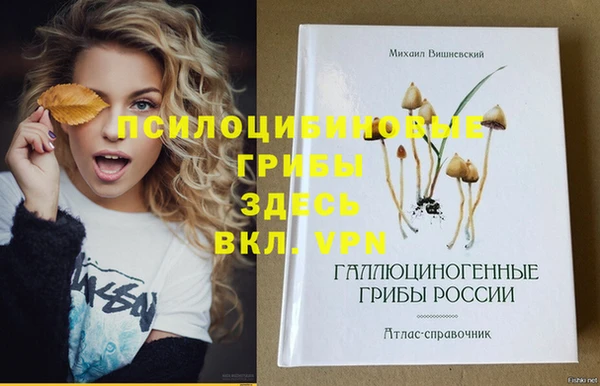 шишки Новодвинск