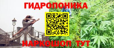 MDMA Кингисепп
