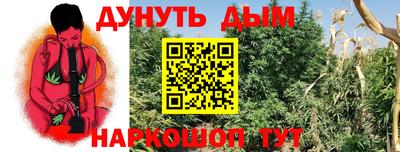 ПСИЛОЦИБИНОВЫЕ ГРИБЫ Кимры