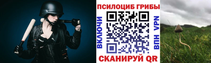наркошоп  Печора  Псилоцибиновые грибы мухоморы 